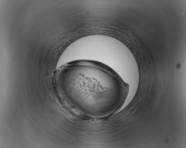 X0000116150235200912141205