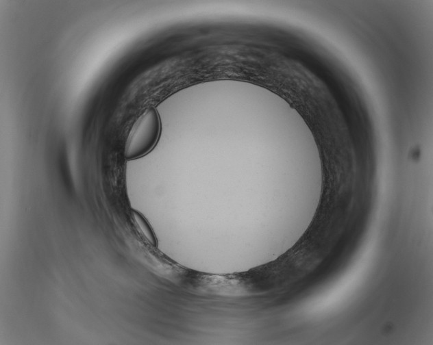 X0000116150239200912141205