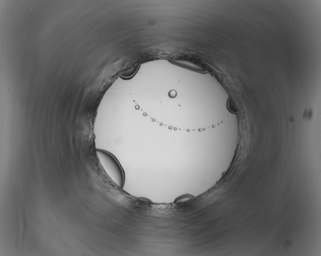 X0000116150240200912141205