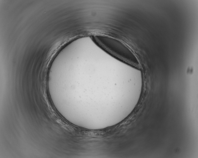 X0000116150241200912141204