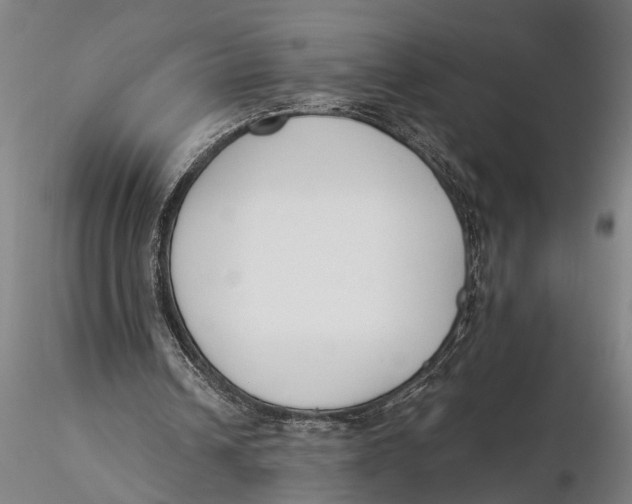 X0000116150242200912141204