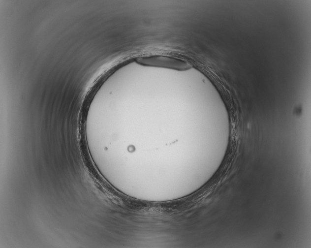 X0000116150244200912141204