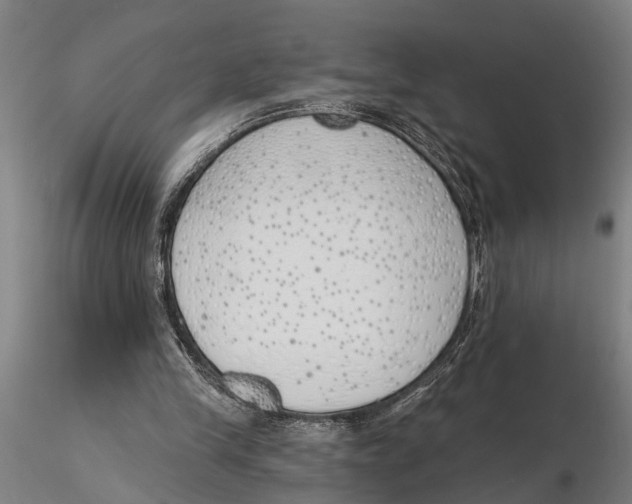 X0000116150245200912141204