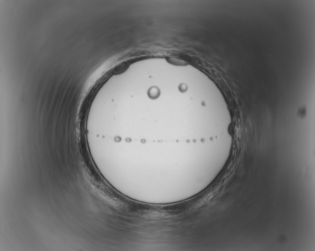 X0000116150246200912141204