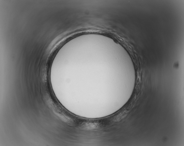 X0000116150247200912141204