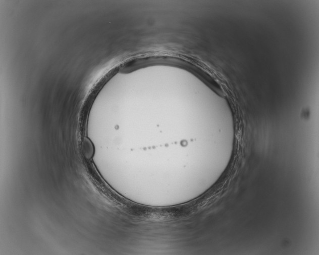 X0000116150248200912141204