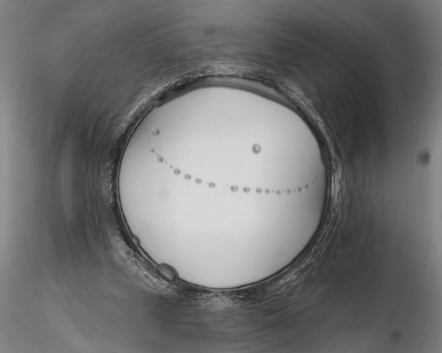 X0000116150249200912141204