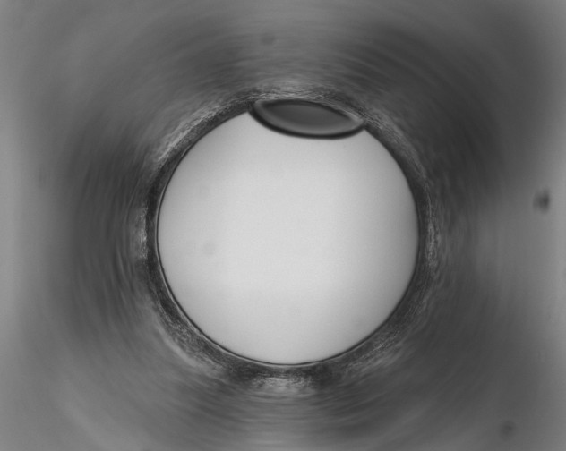 X0000116150251200912141204