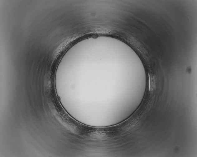 X0000116150252200912141204