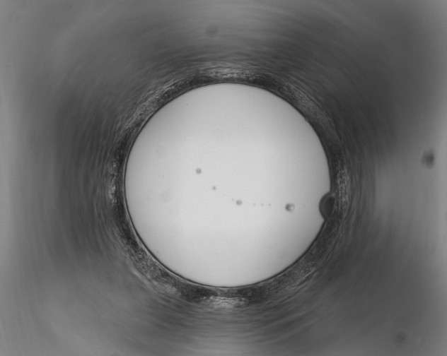 X0000116150255200912141204