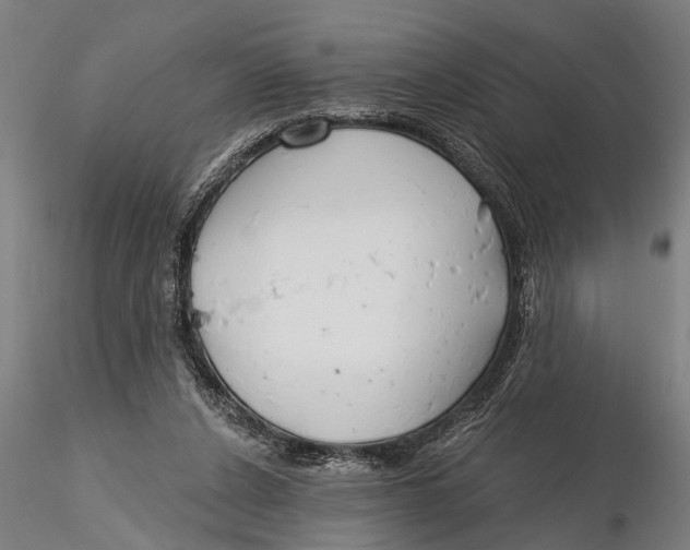 X0000116150256200912141204