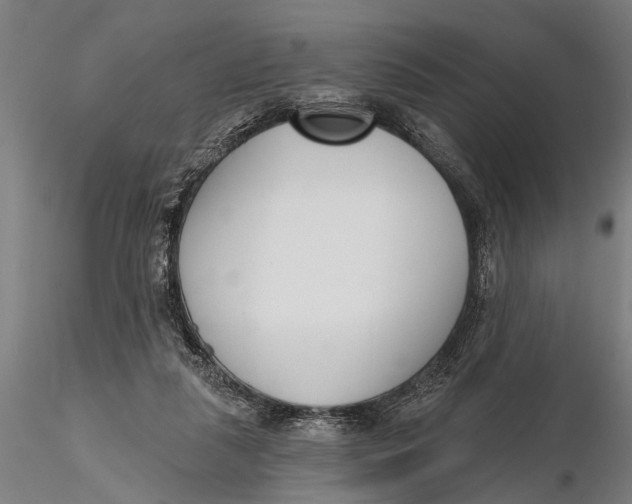 X0000116150259200912141204