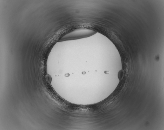 X0000116150260200912141204