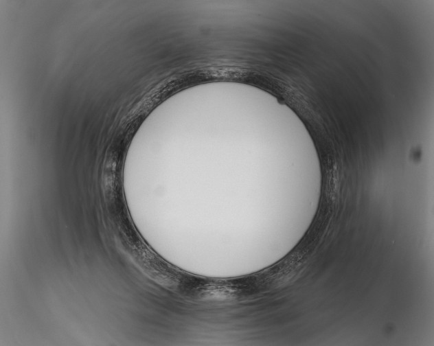 X0000116150263200912141204