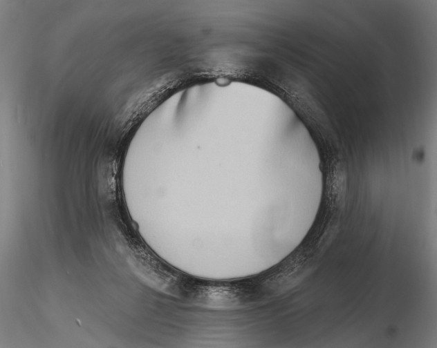 X0000116150264200912141204