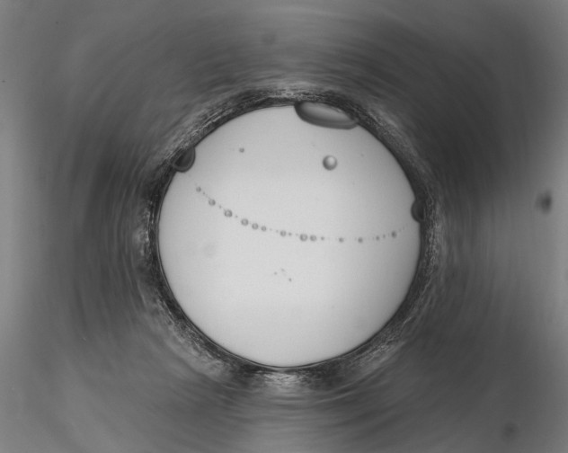 X0000116150265200912141204