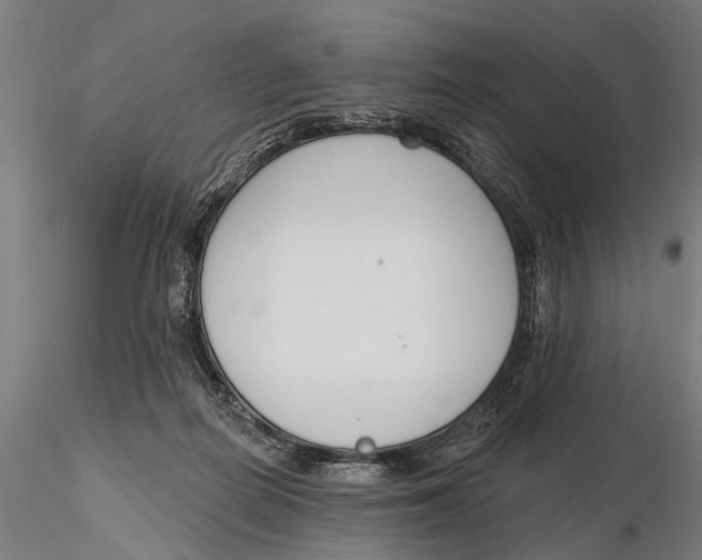 X0000116150266200912141204