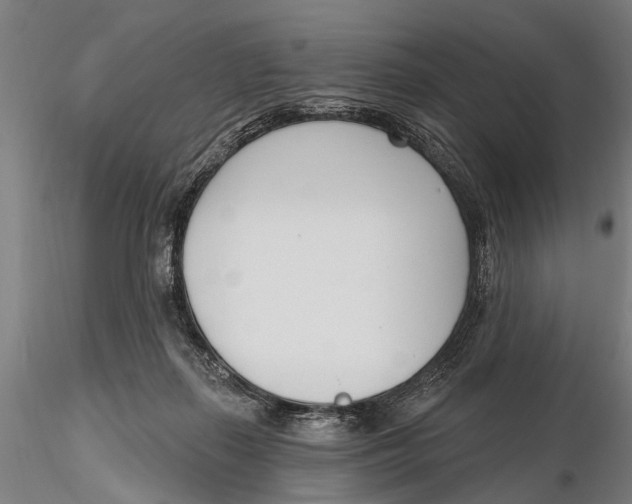 X0000116150267200912141204