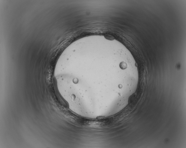 X0000116150268200912141204