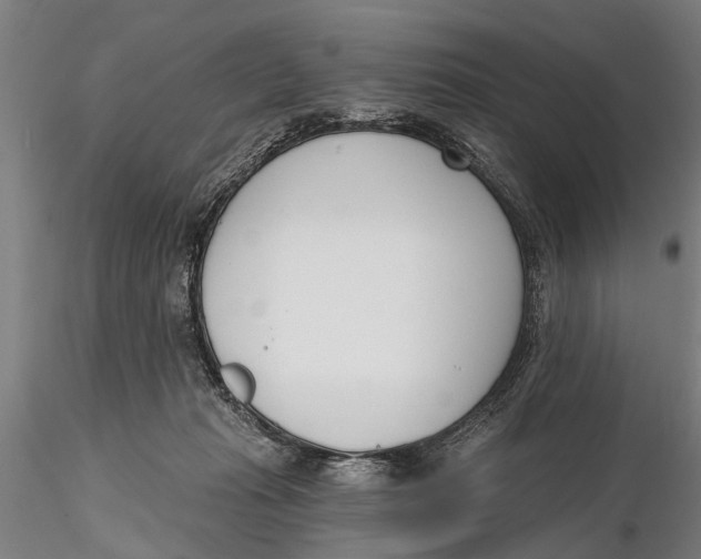 X0000116150269200912141204