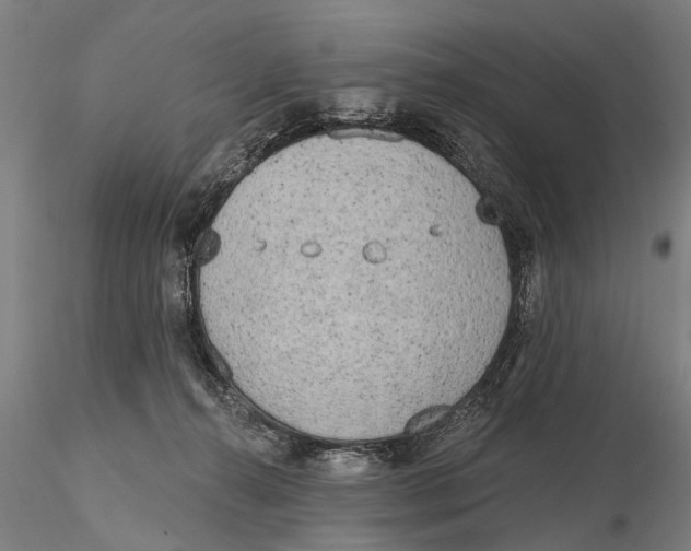 X0000116150272200912141204