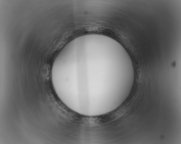 X0000116150273200912141204