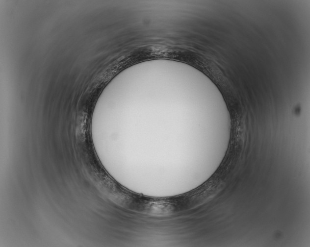 X0000116150275200912141204