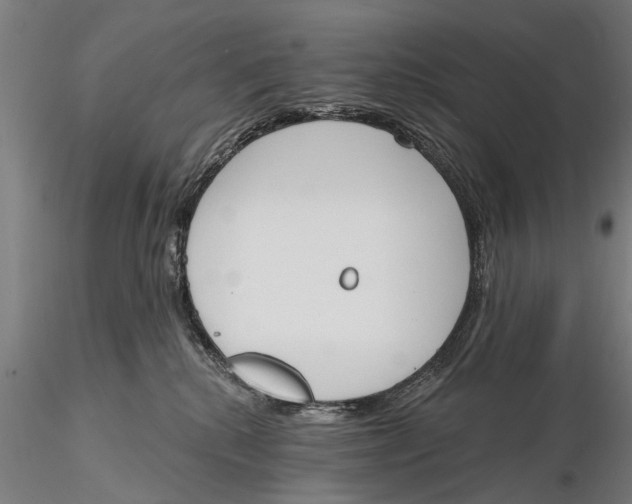 X0000116150280200912141205