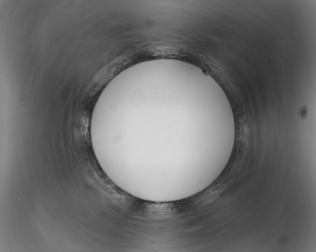 X0000116150281200912141205