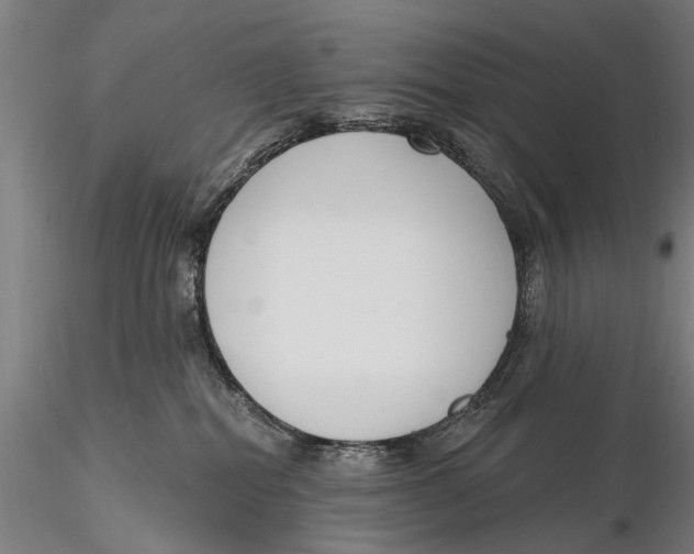 X0000116150282200912141205