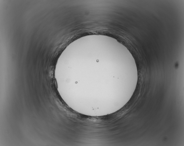 X0000116150284200912141205