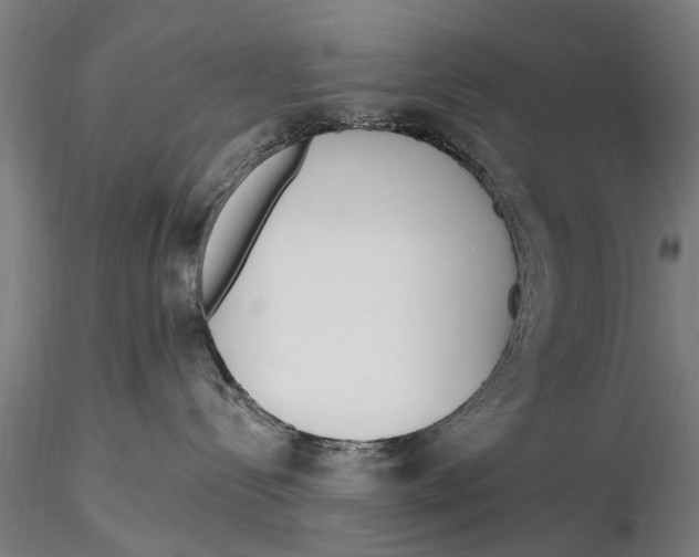 X0000116150288200912141205