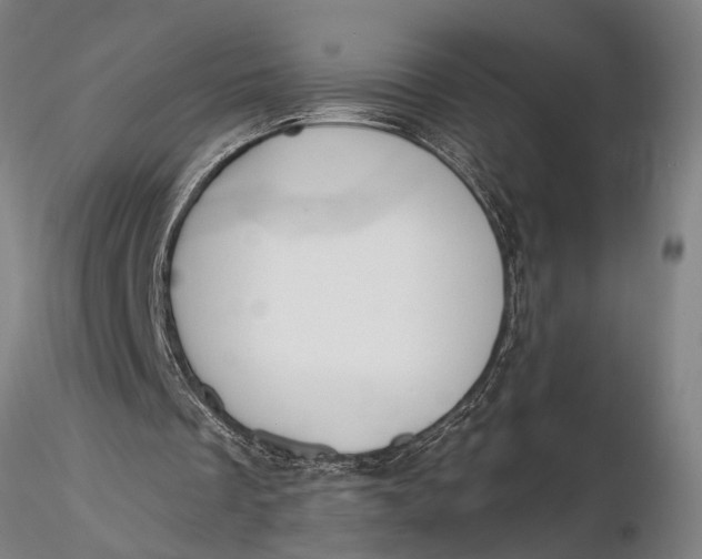 X0000116150289200912141204