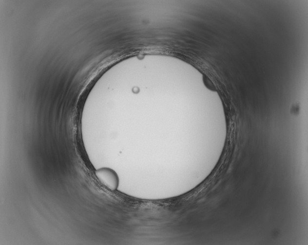 X0000116150290200912141204