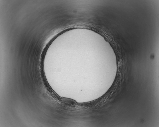 X0000116150292200912141204