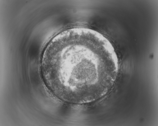 X0000116150293200912141204