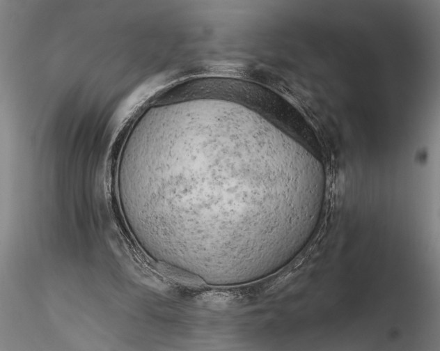 X0000116150294200912141204