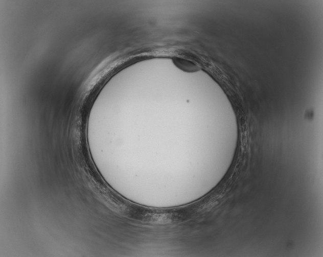 X0000116150295200912141204