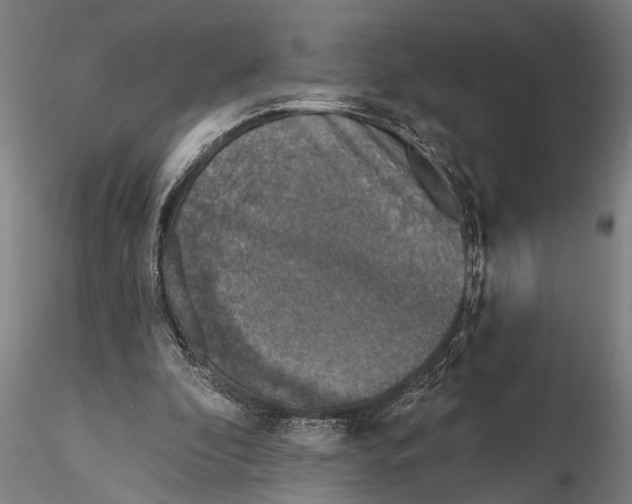 X0000116150296200912141204