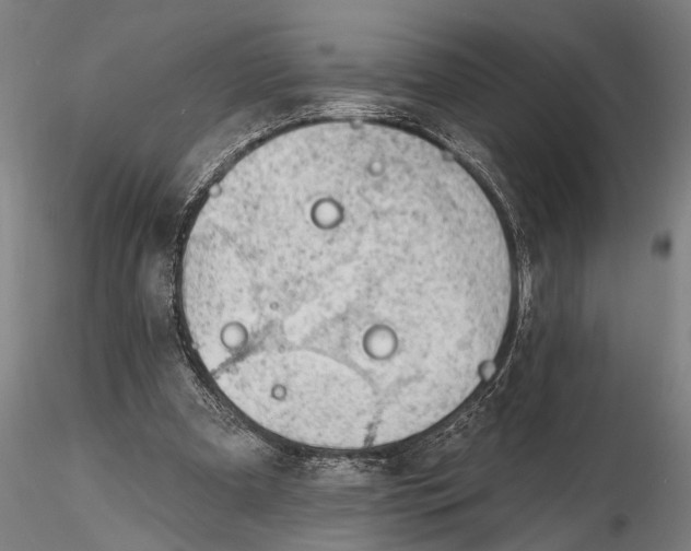 X0000116150297200912141204