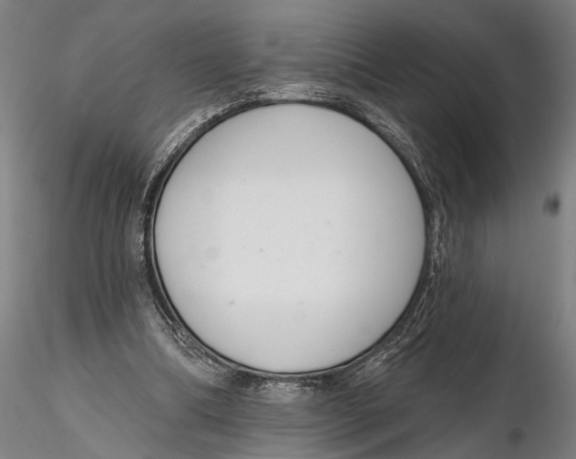 X0000116150298200912141204