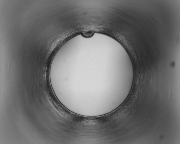 X0000116150299200912141204