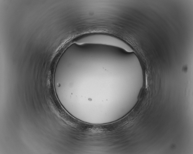 X0000116150300200912141204