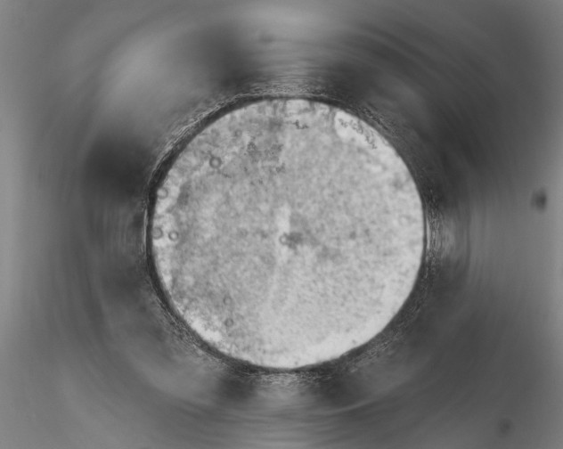 X0000116150301200912141204