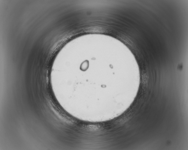 X0000116150302200912141204