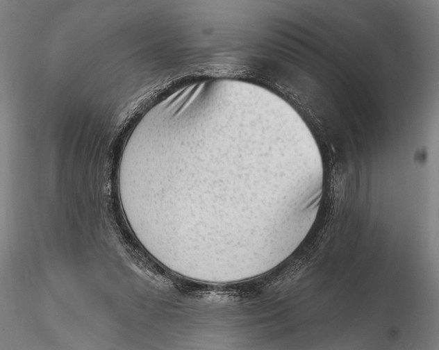 X0000116150303200912141204