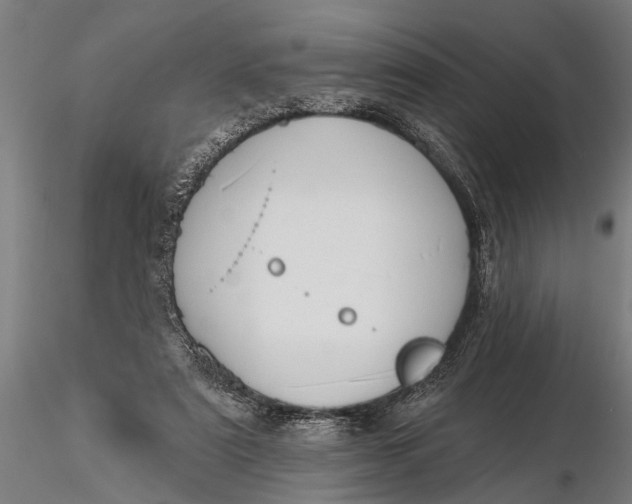 X0000116150307200912141204