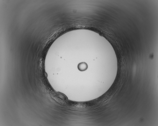 X0000116150308200912141204