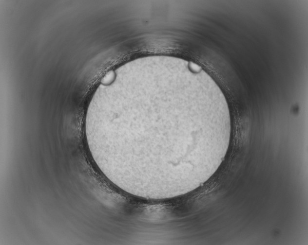 X0000116150309200912141204