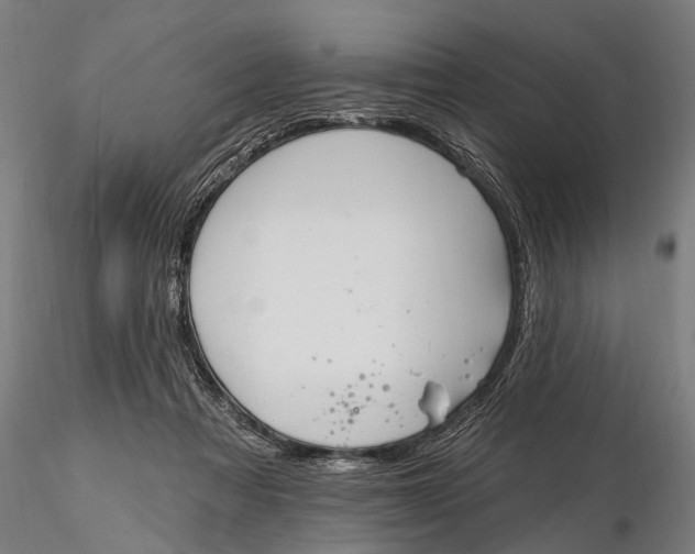 X0000116150313200912141204